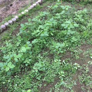 72bbb64e5d837c193ae6